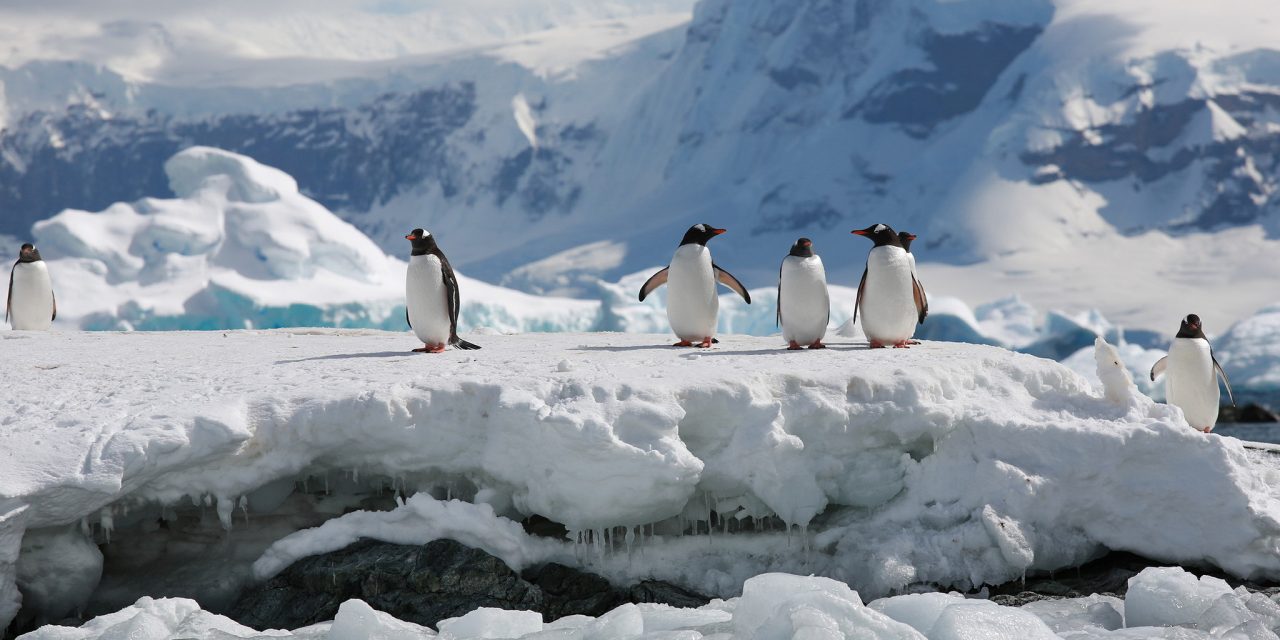 https://mytravelxp.com/wp-content/uploads/2021/03/antarctica-elephant-island-penguins-istock-1160038786-vadim-sidoruk-2048x1365web-1280x640.jpg