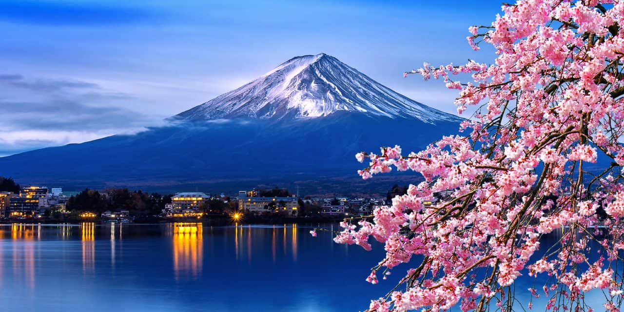 Japan Tour in Cherry Blossom Season