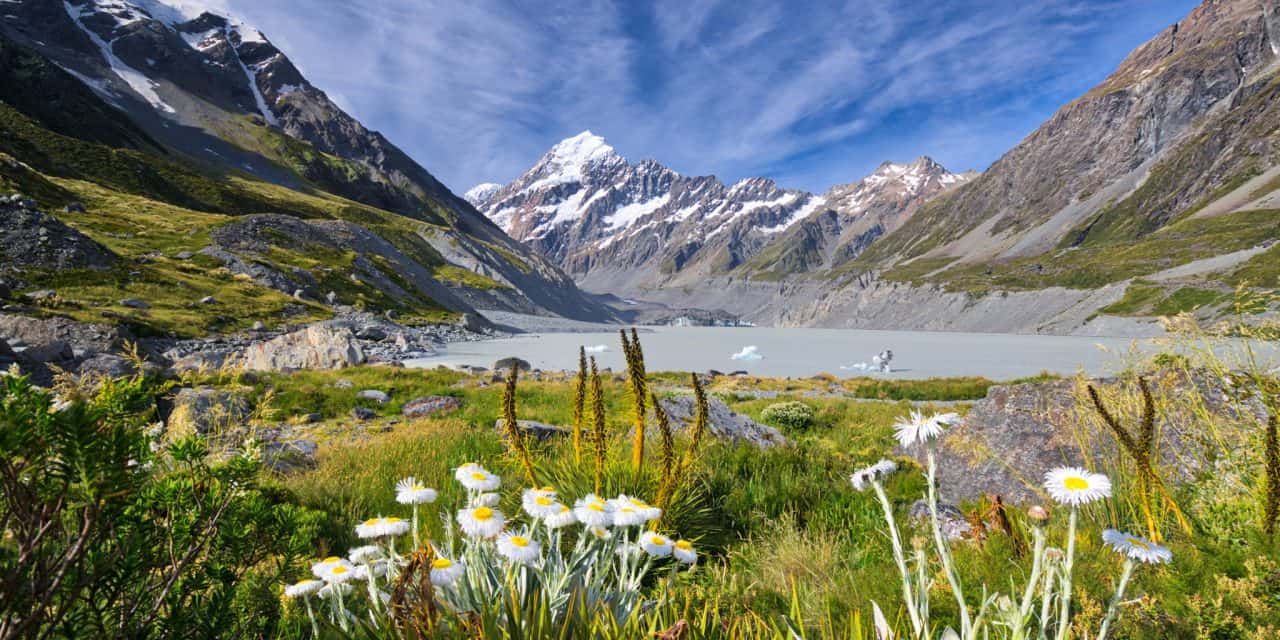 New Zealand Southern Alps Hiking Tour