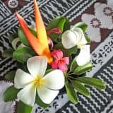 Fiji flowers