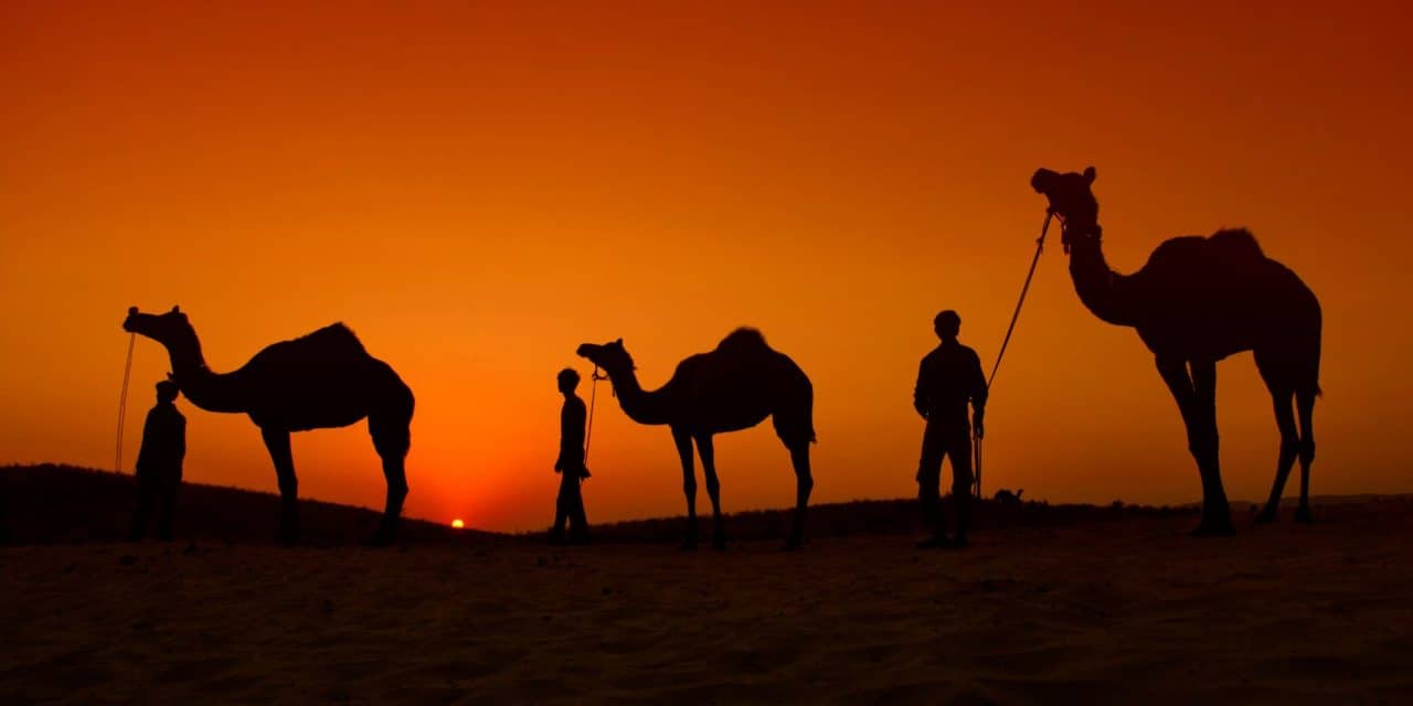 India Luxe Tour with Pushkar Festival