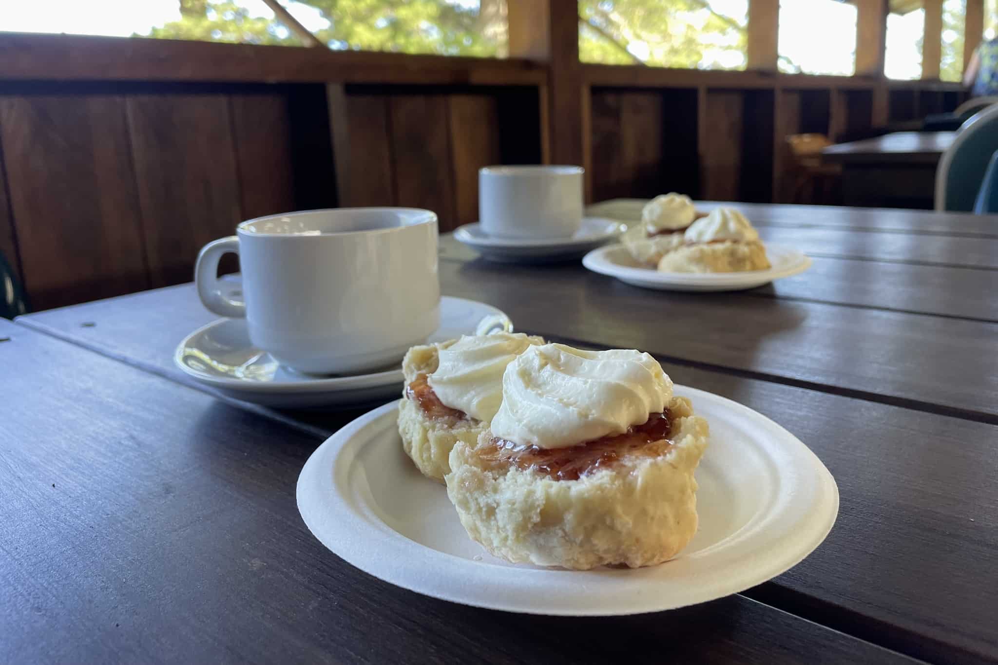 Fresh baked scones on Norfolk Island tour