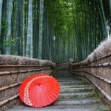 Bamboo grove with red Japanese umbrella in Kyoto