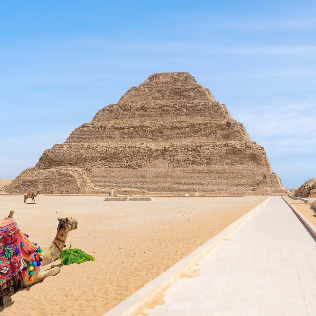 Camel in colourful saddle sitting at Sakkara step pyramid near Cairo Egypt