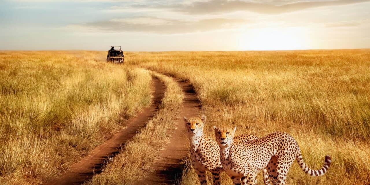 Ultimate Africa Safari with Flights